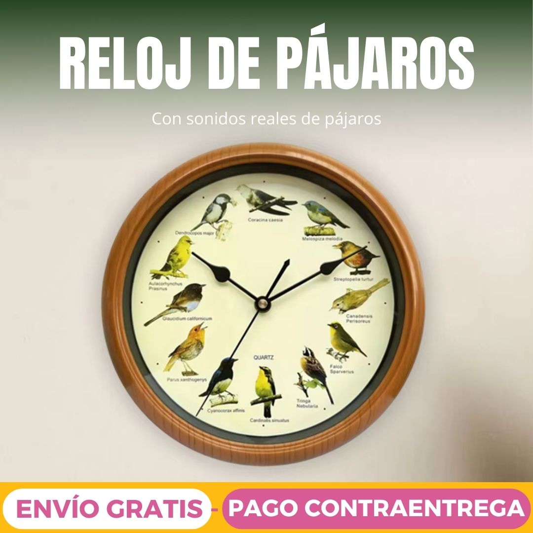 Reloj De Pájaros Cantores